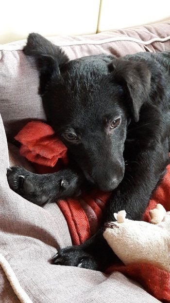Mehr Info zu Paula