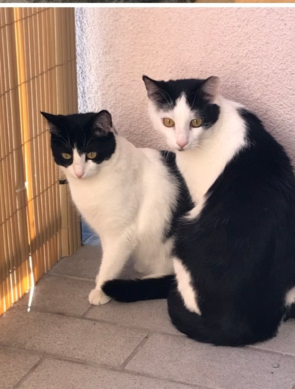 Amy und Charly