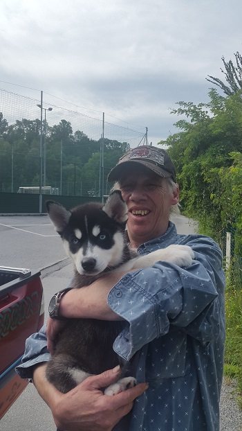 Mehr Info zu Nuka Husky Welpe