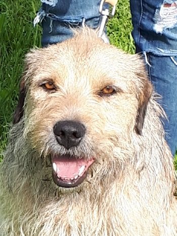 Mehr Info zu Loki