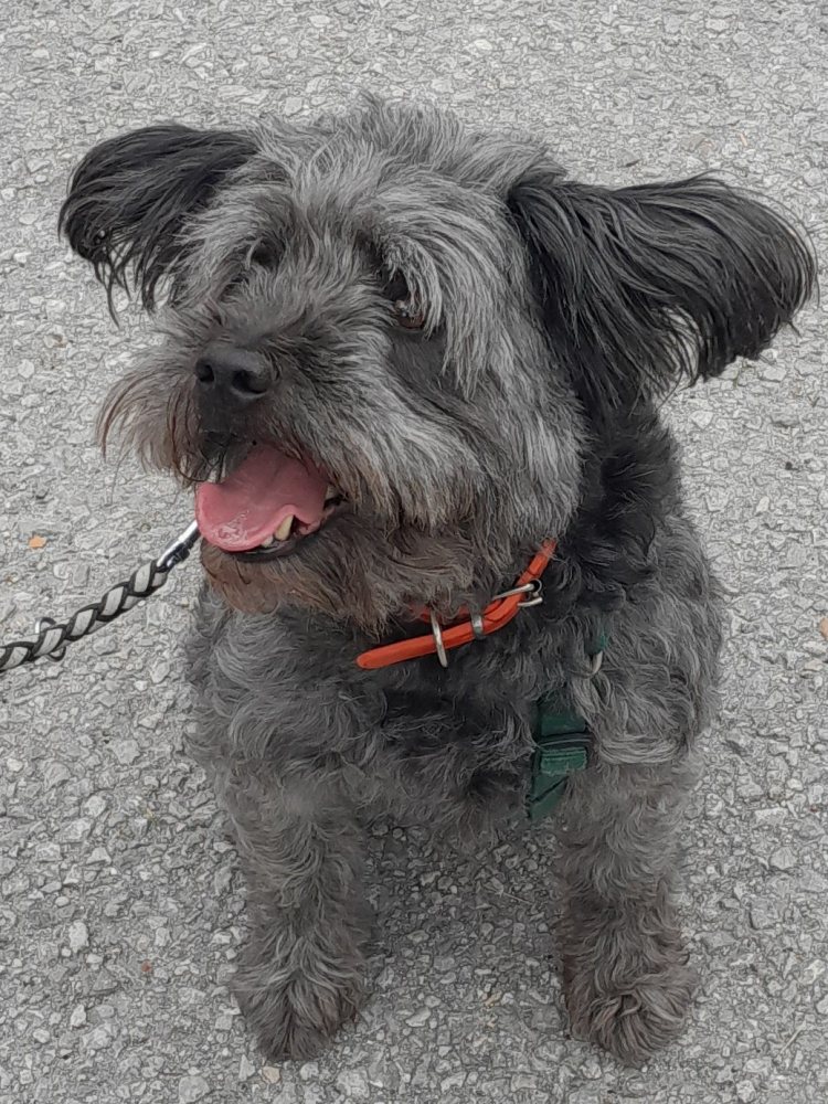 Darwin 