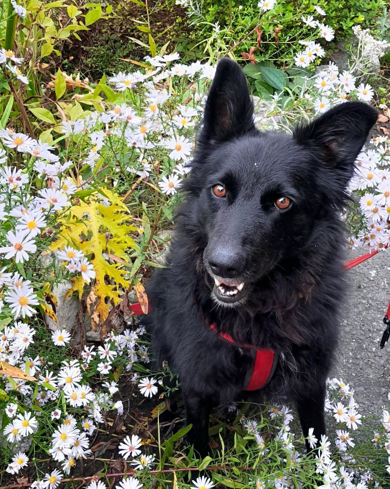 Mehr Info zu Kelly  