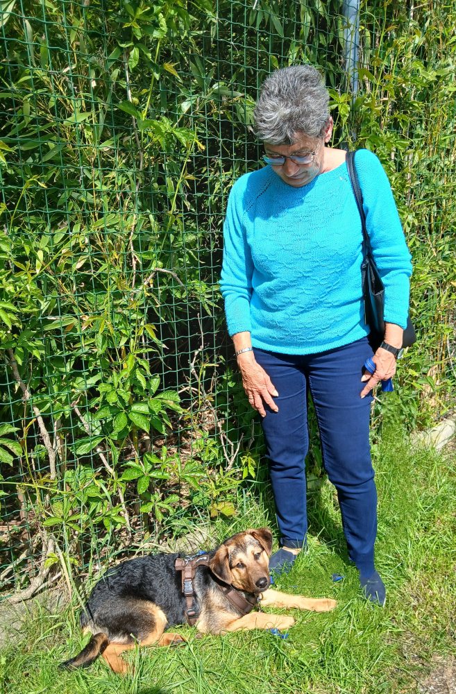 Mehr Info zu Barbi  