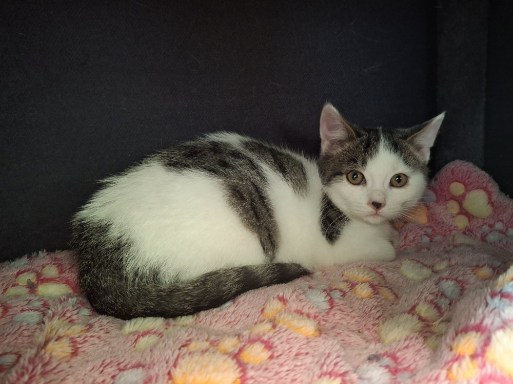 Mehr Info zu Findus und Rosalie reserviert