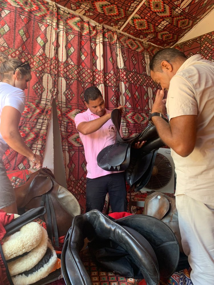 Projekt TOURISTENPFERDE in Hurghada-Ägypten- AUSLANDSTIERSCHUTZ
