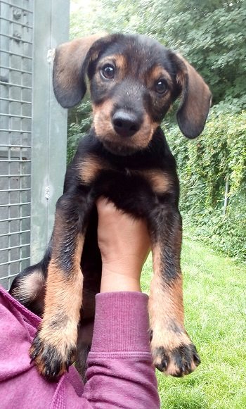 Mehr Info zu Alvin