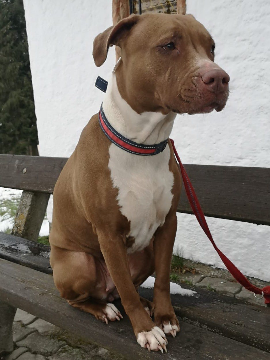 Amy