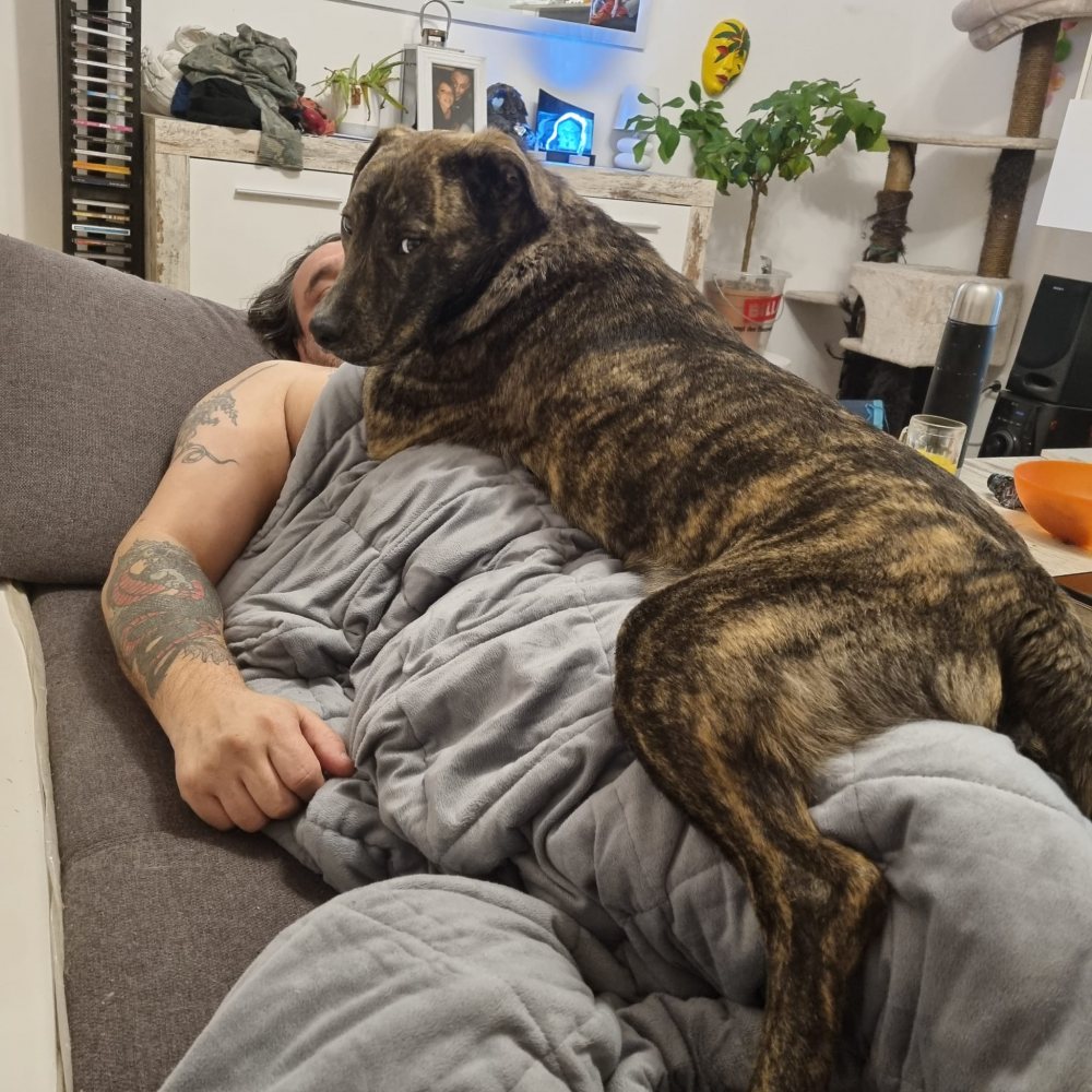 Mehr Info zu Athos