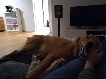 Mehr Info zu Benzo