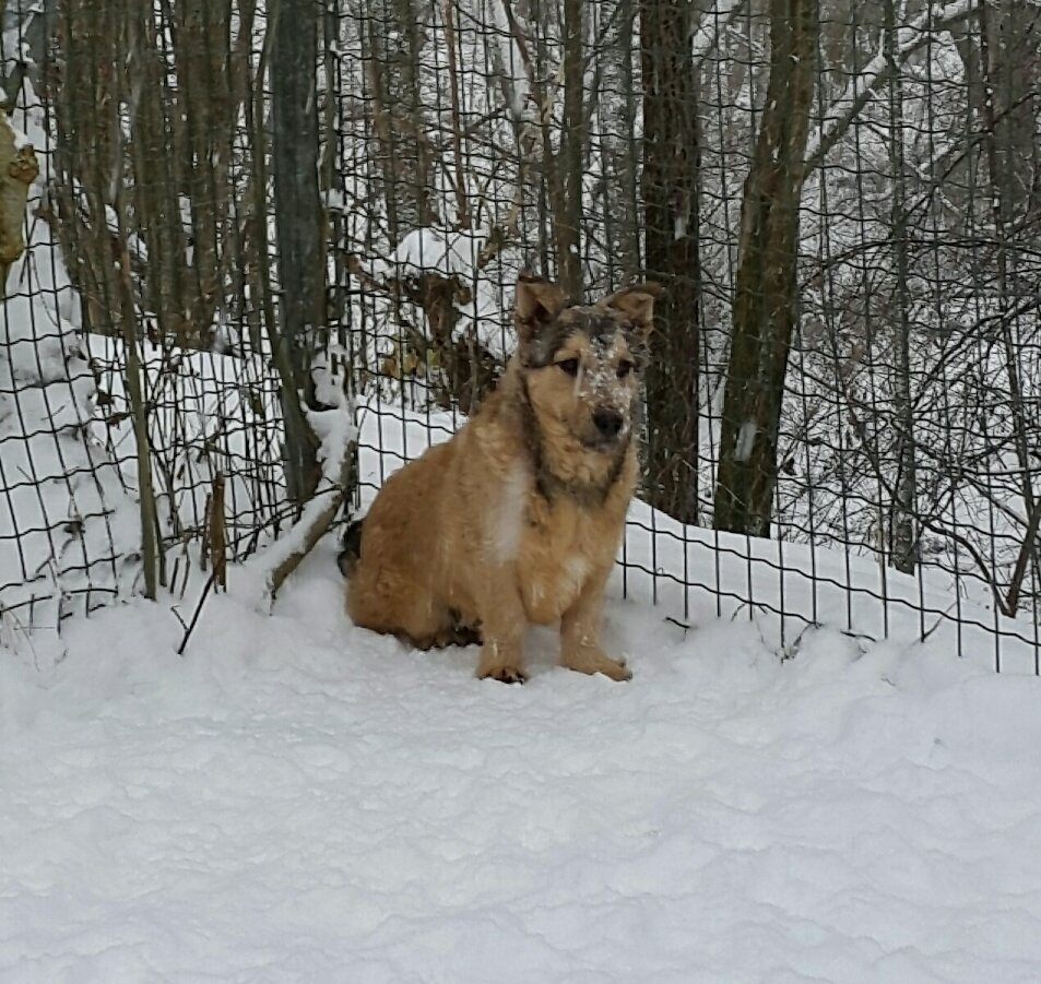 Bilbo