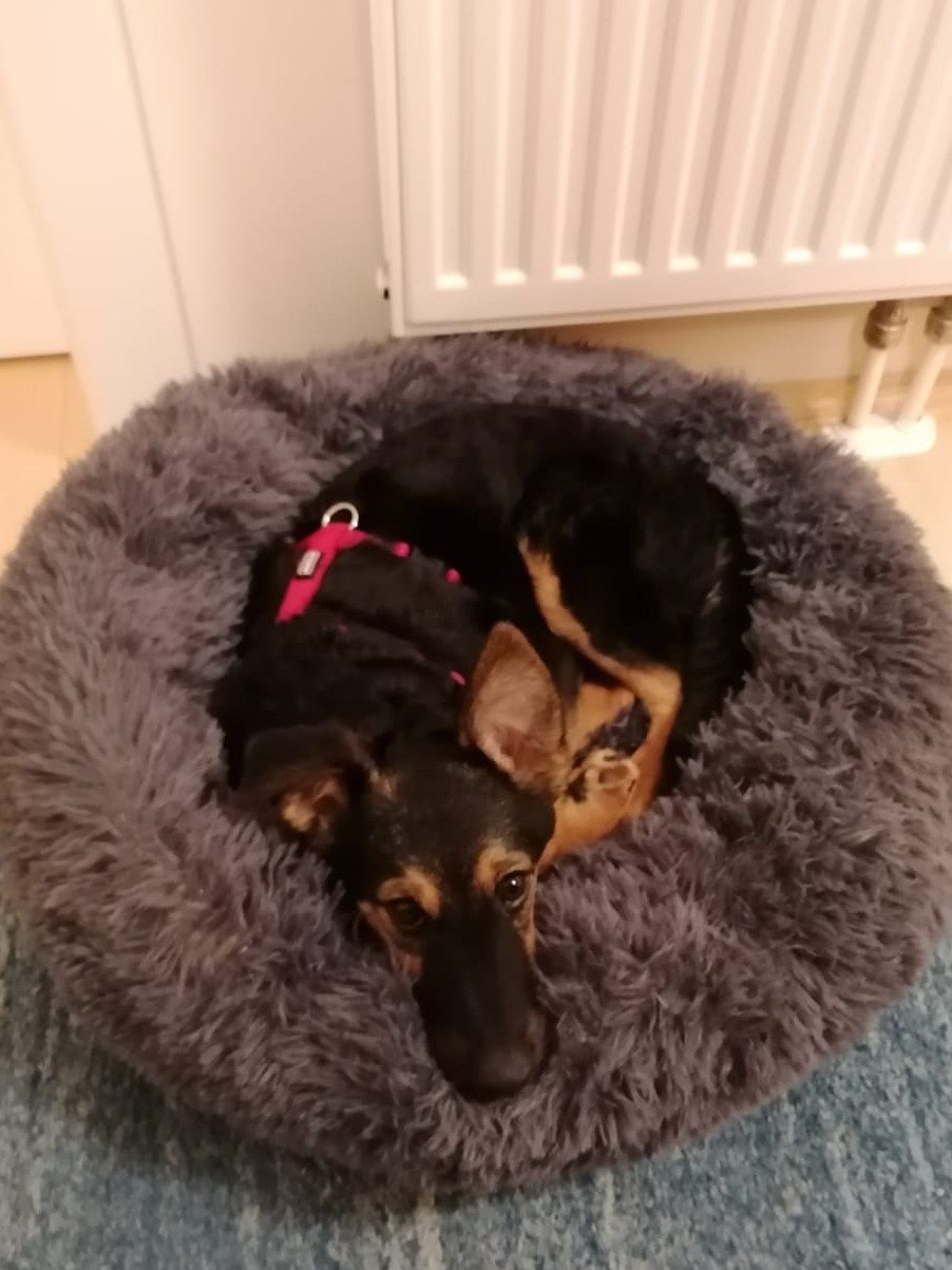 Mehr Info zu Candy