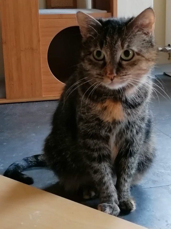 Carmen