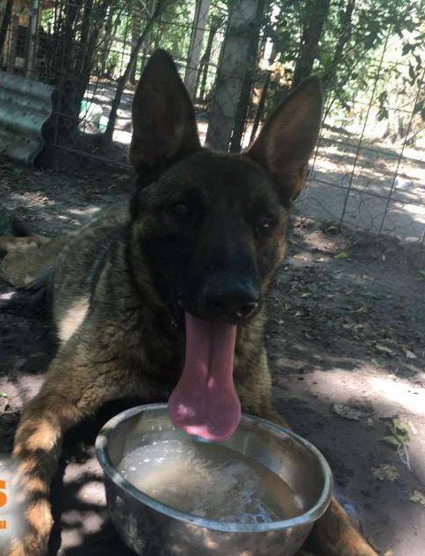 Mehr Info zu Chester Notfall