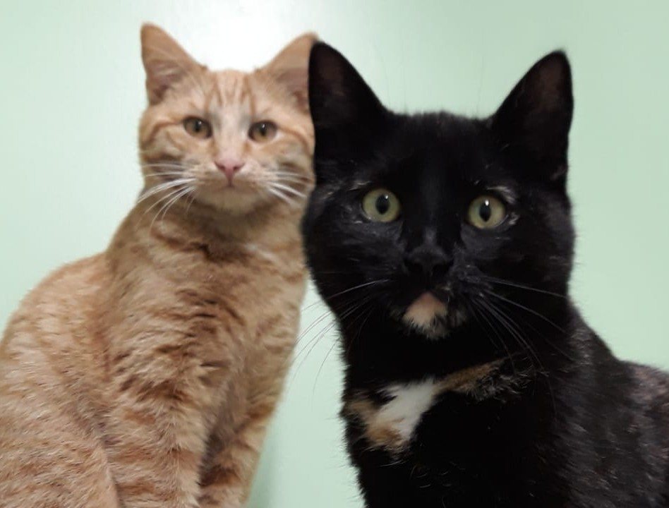Mehr Info zu Circe und Balu