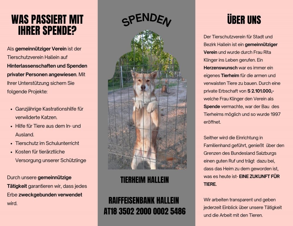 Spenden/Testament und letzter Wille