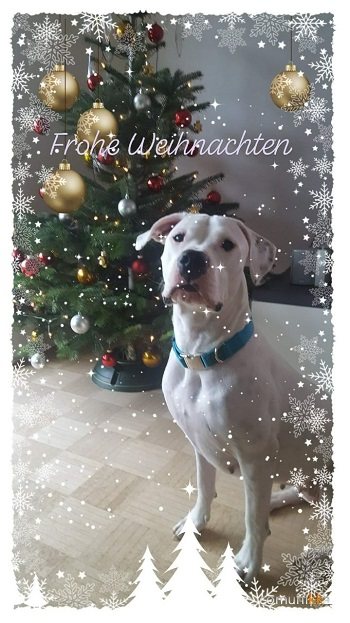 Mehr Info zu Steffi