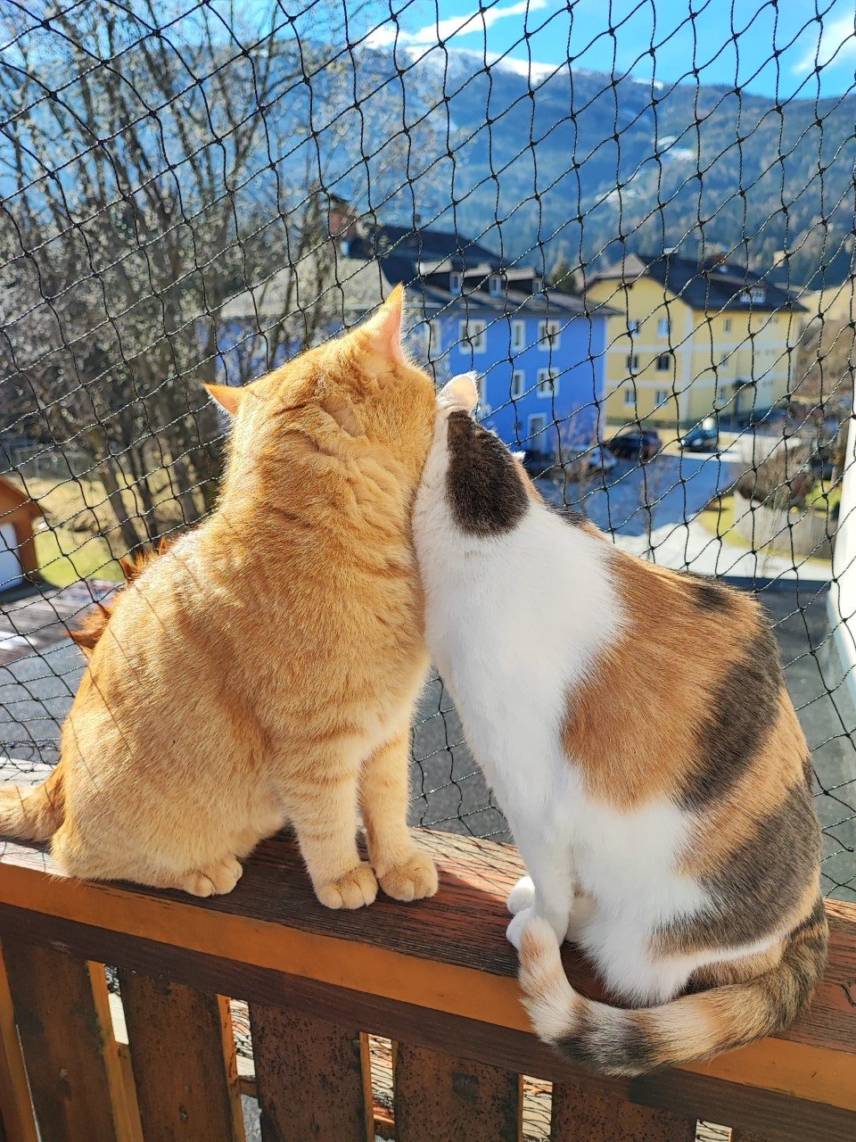 Flora und Felix