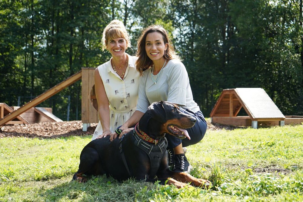 Beste Freunde - das Tiermagazin mit Andrea Schlager: Neue Ideen fürs Tierheim
Folge 4, am So., 20.10., ab 17:00 Uhr auf ServusTV