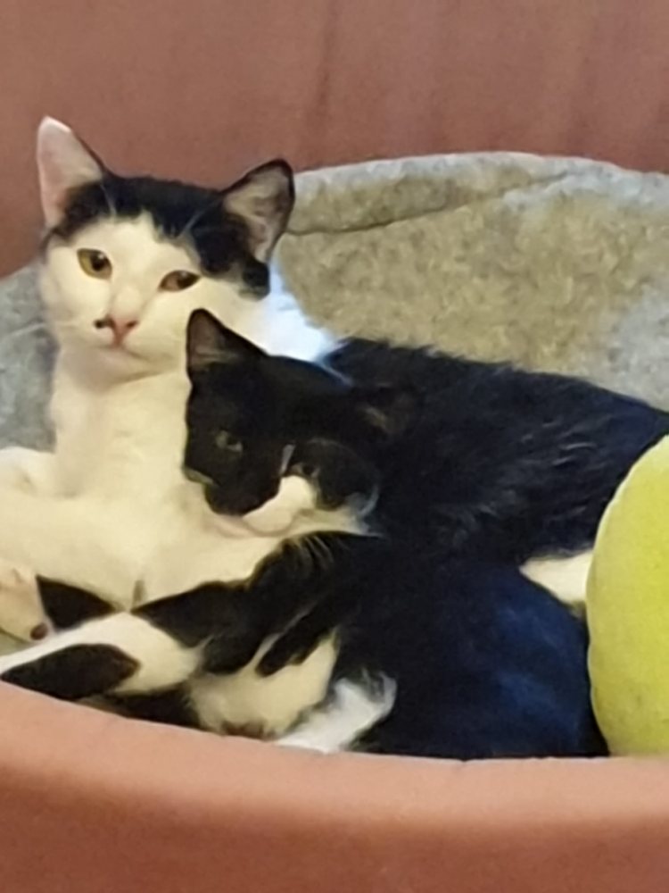 Mehr Info zu Gerti mit Sohn