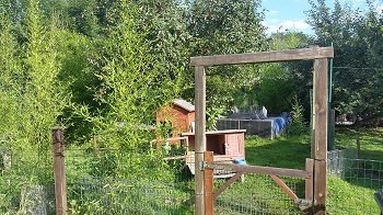 Hasenlandschaft