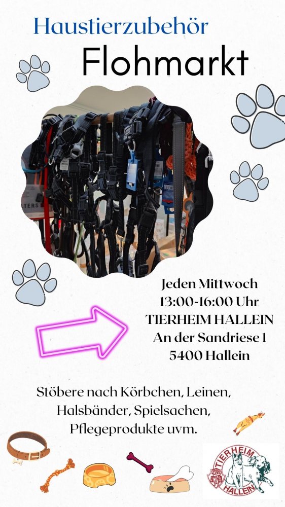 FLOHMARKT für Hund, Katz & Co
