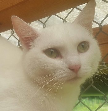 Mehr Info zu Helena