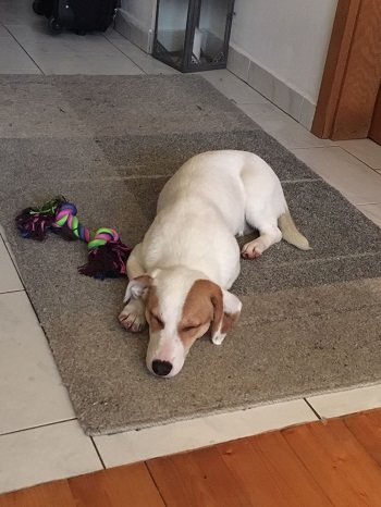Mehr Info zu Kiki