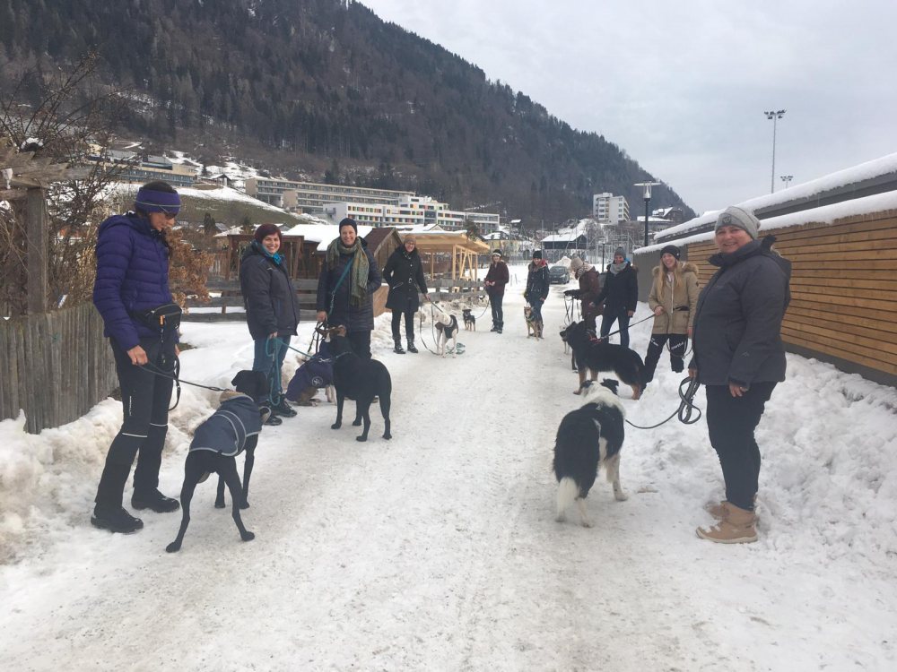 DEAH - DieEtwasAndereHundeschule