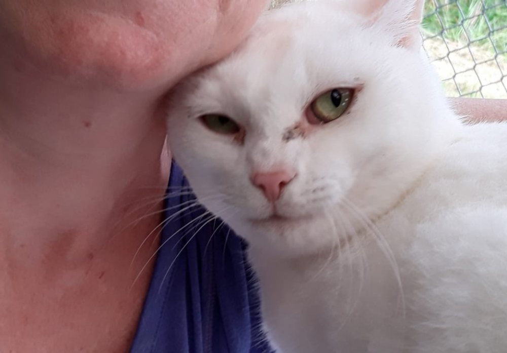 Mehr Info zu Würfel & Blanche