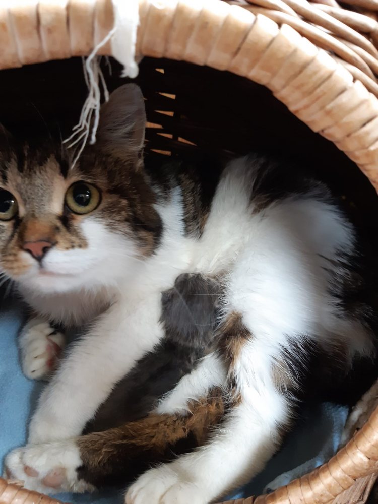 Mehr Info zu Meggy und ihr Winzling