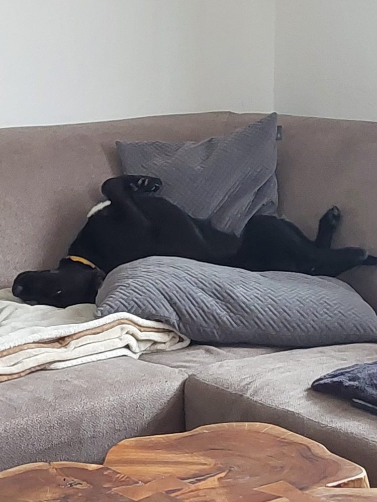 Mehr Info zu Lana