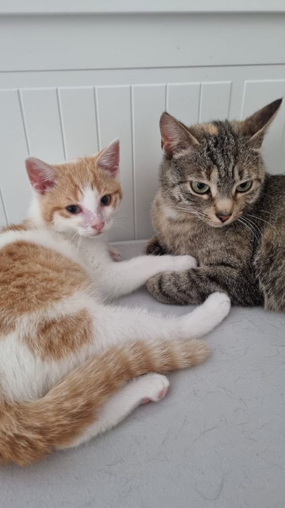 Elsa und Ella