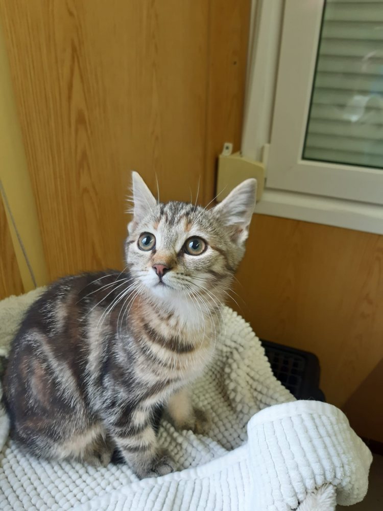 Bijoux