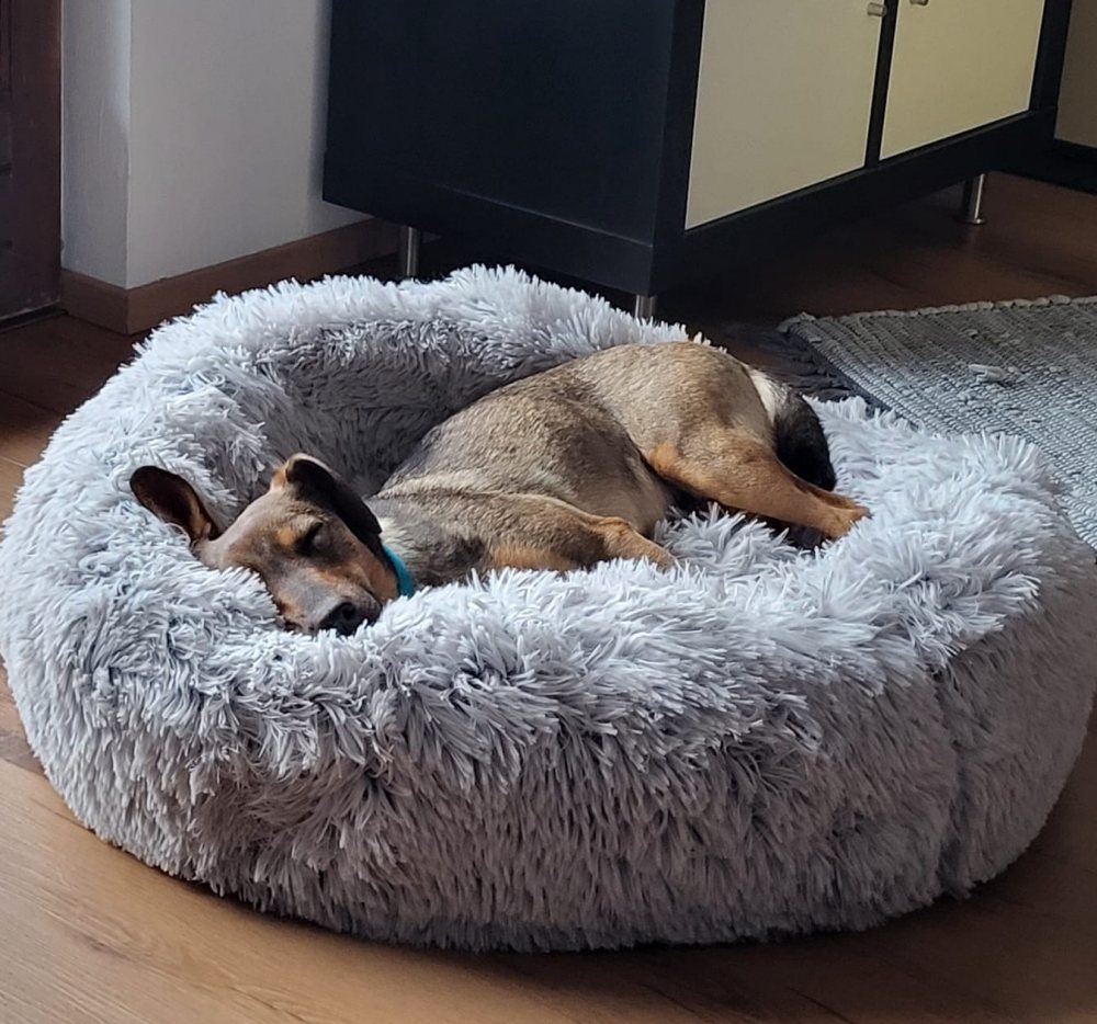 Mehr Info zu Barbi