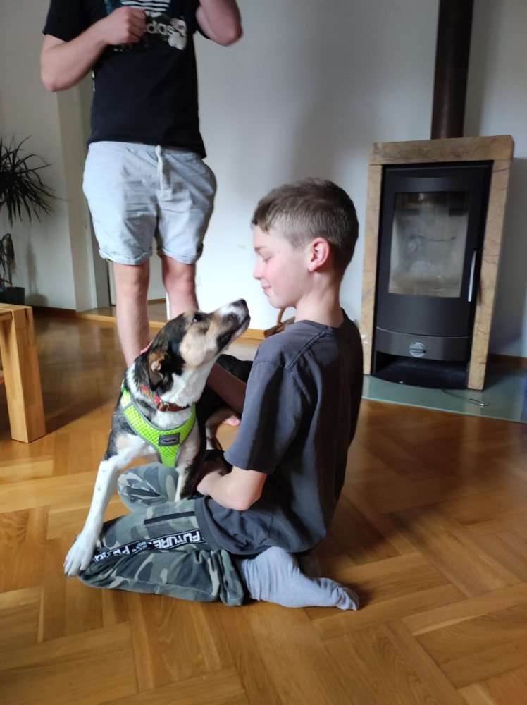 Mehr Info zu Molly