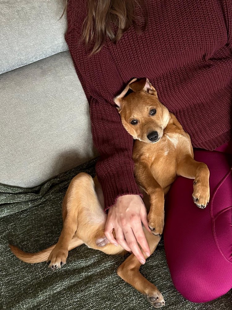 Mehr Info zu Filou