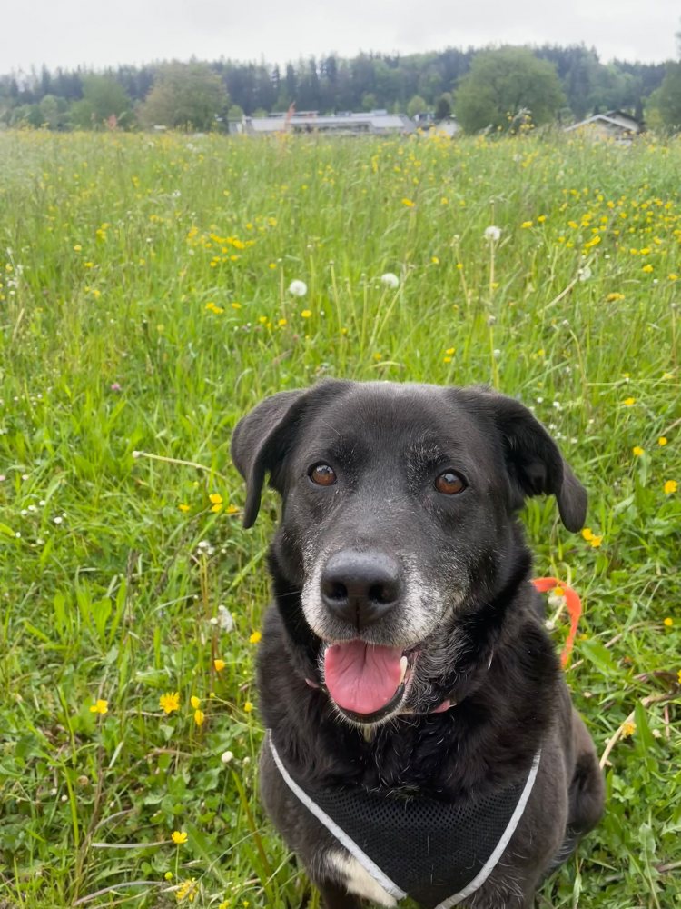 Zita 