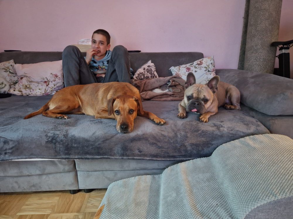 Mehr Info zu Bobo  