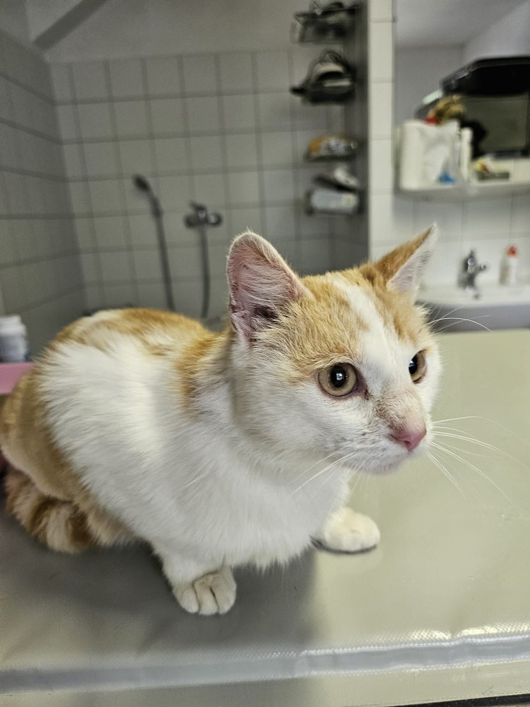 Rudi Fundkater 