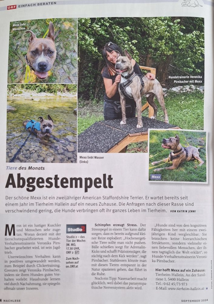 ORF Nachlese- Bericht über unseren AM-Staff Mexx