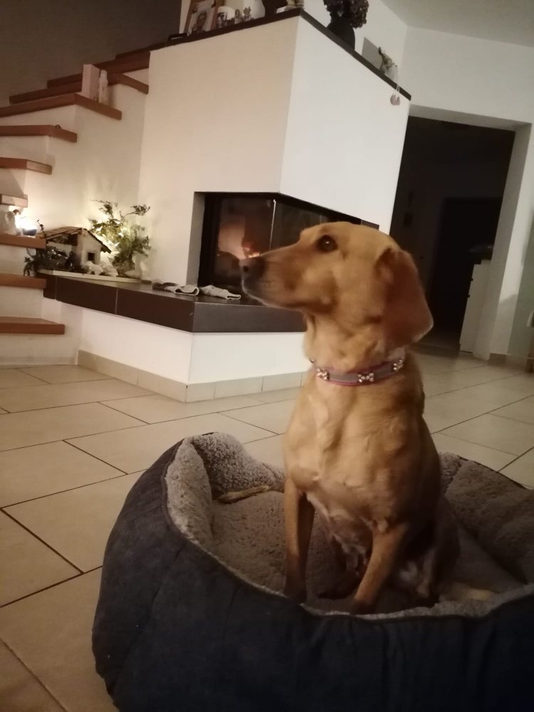 Mehr Info zu Nina 