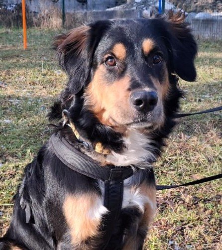 Mehr Info zu Cooper 