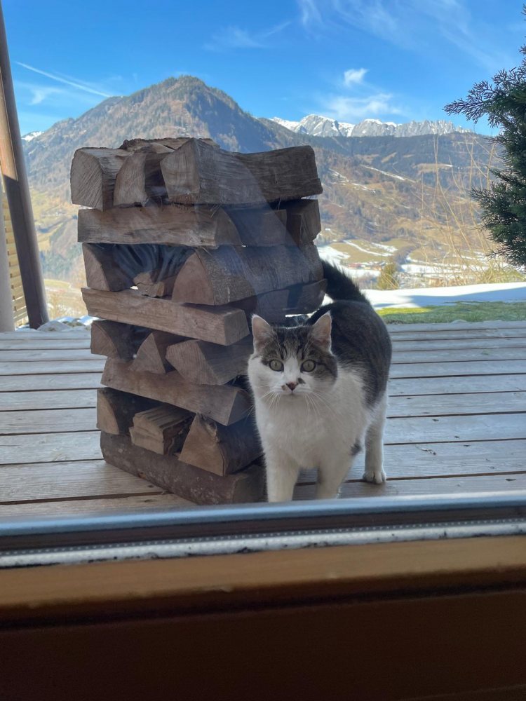 Otilia und Bruno 