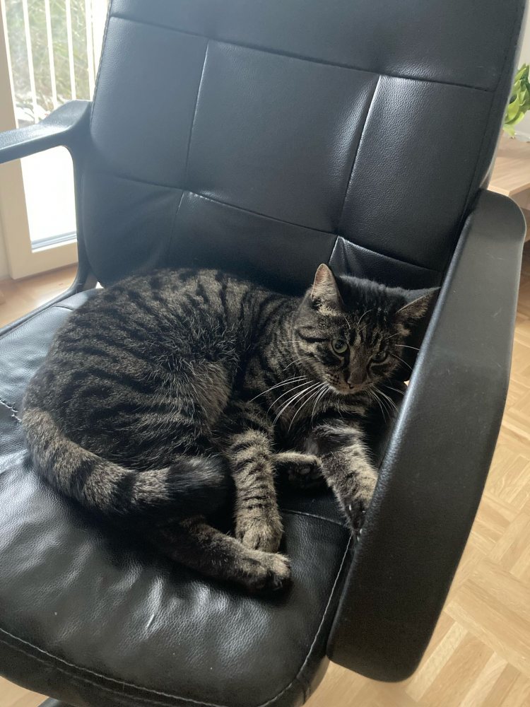 Mehr Info zu Kayla und Layla 