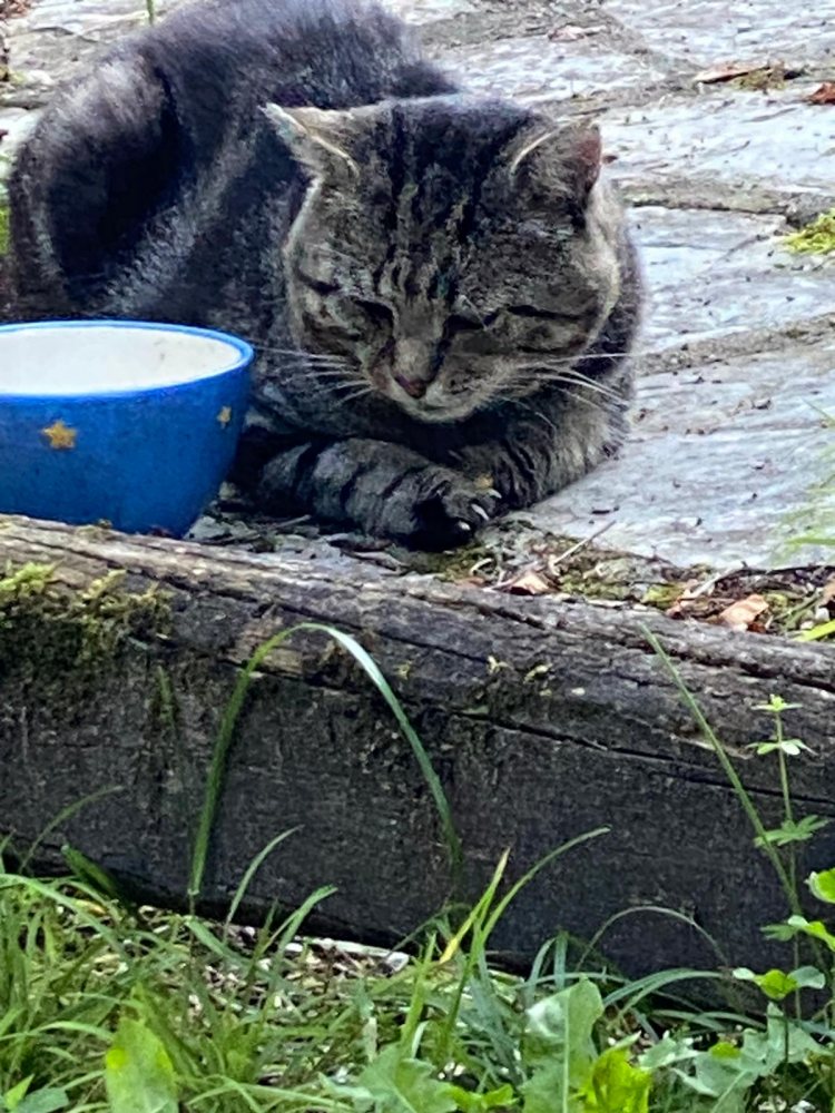 Mehr Info zu Tom
