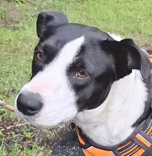 Mehr Info zu Jody 