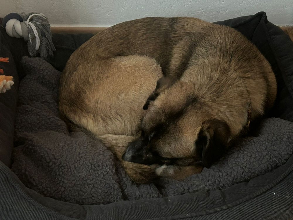 Mehr Info zu Jupiter 