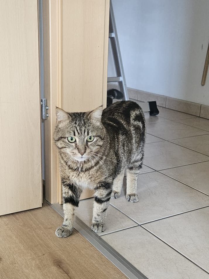 Mehr Info zu Marlon 