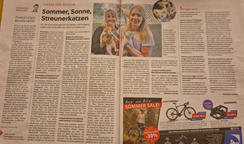 SN- Bericht über Streunerkatzen und Kastrationspflicht