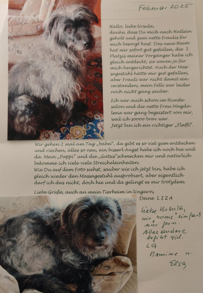 Ein Brief von LIZA